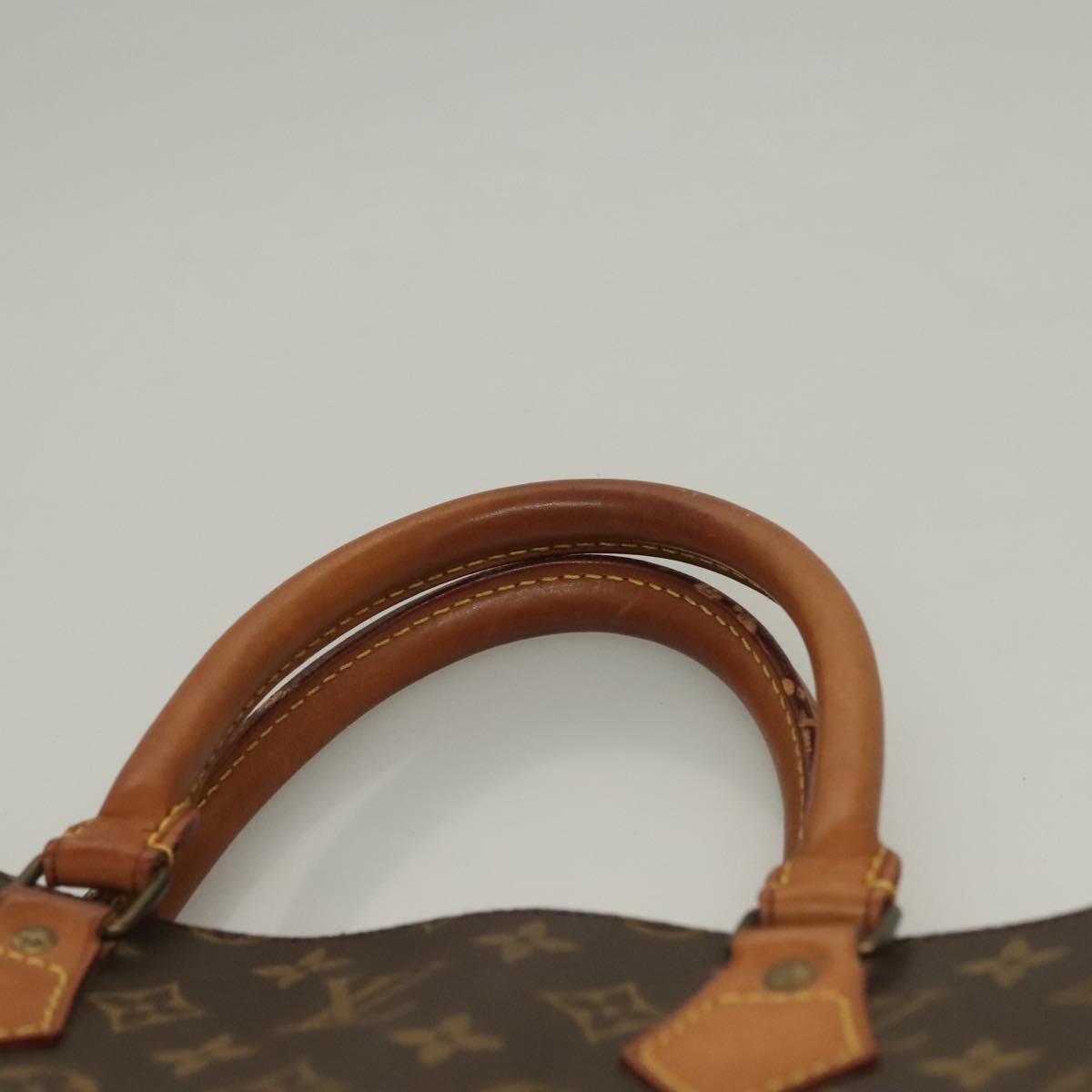 Louis Vuitton Sac Plat Bag Monogram Canvas, BROWN, CANVAS, Handbag