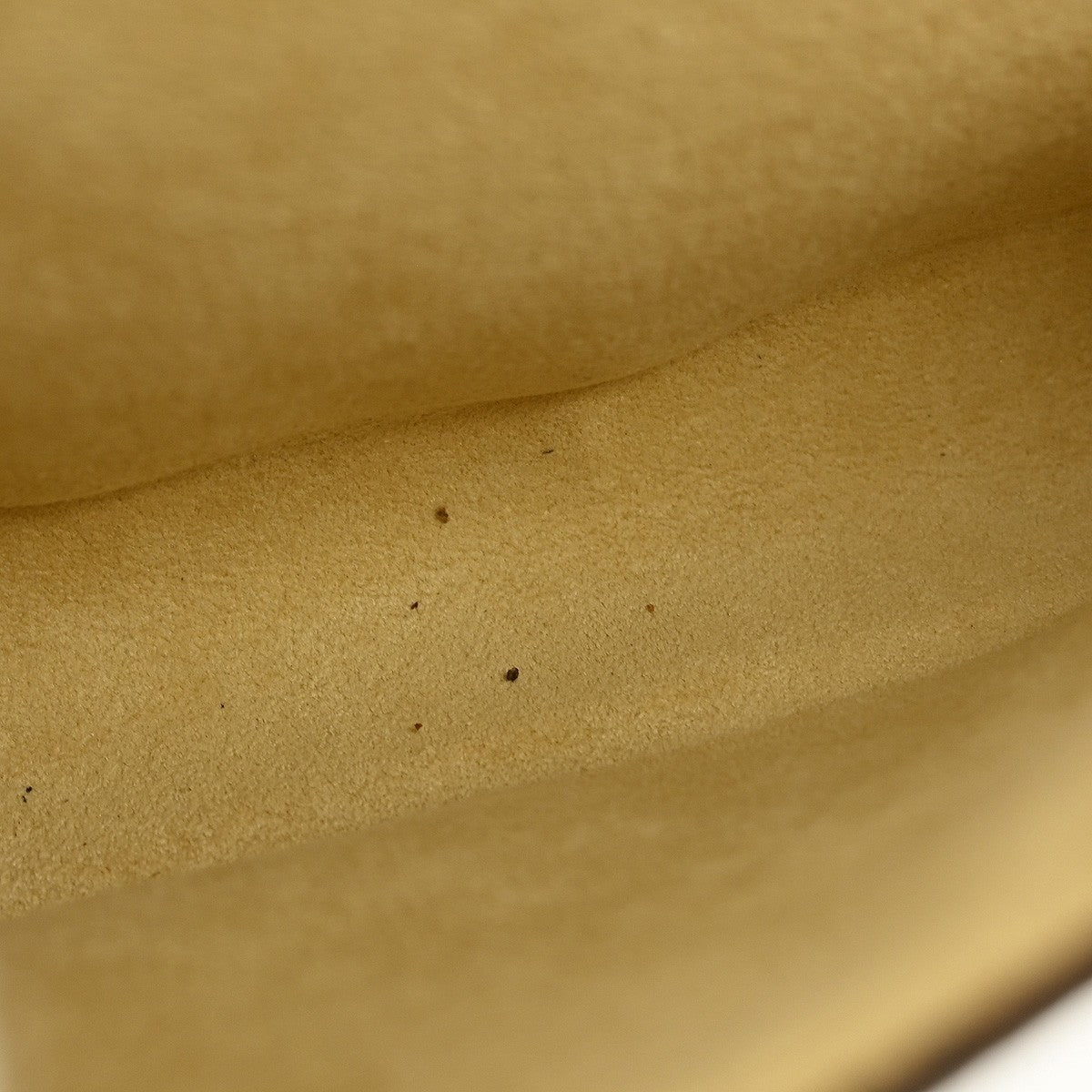 Louis Vuitton Florentine Waist Bag Monogram Canvas, BROWN, CANVAS, Clutche & pouche