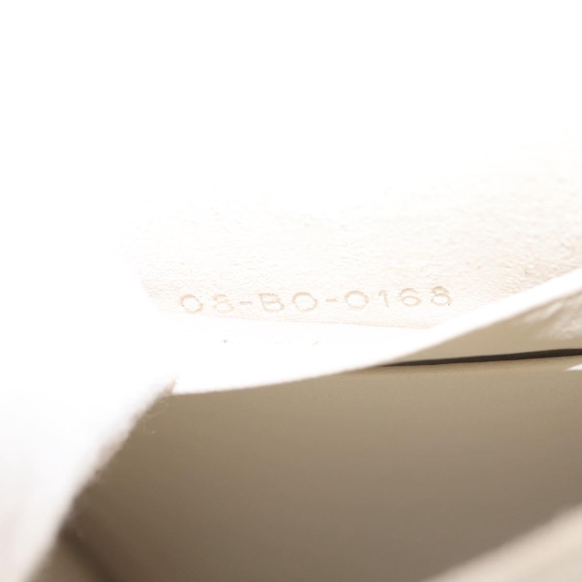 Christian Dior Ultra Matte Diorama Vertical Clutch on Chain Studded Leather, SILVER, PATENT_LEATHER, Clutche & pouche