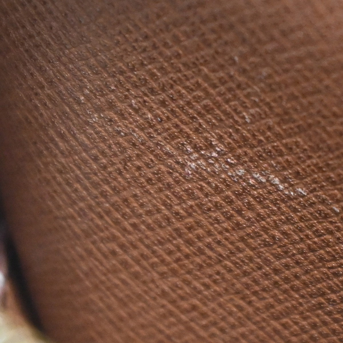 Louis Vuitton Amazone Bag Monogram Canvas, BROWN, CANVAS, Crossbody bag