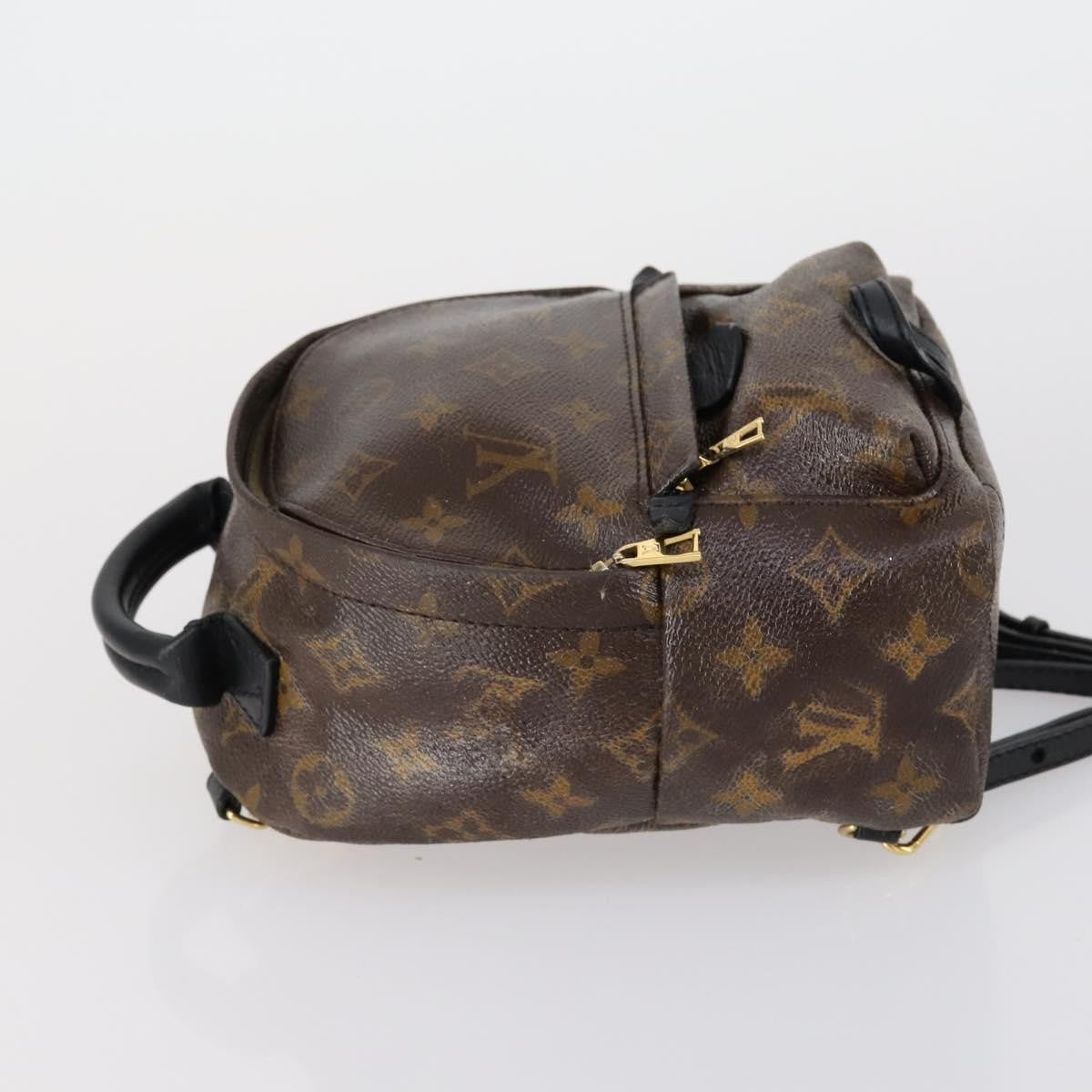 Louis Vuitton Palm Springs Backpack Monogram Canvas, BROWN, CANVAS, Backpack