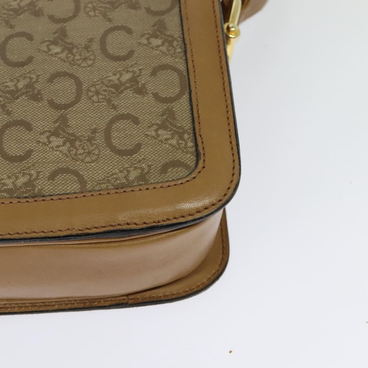 Celine Sulky Shoulder bag Canvas, BEIGE, CANVAS, Shoulder bag