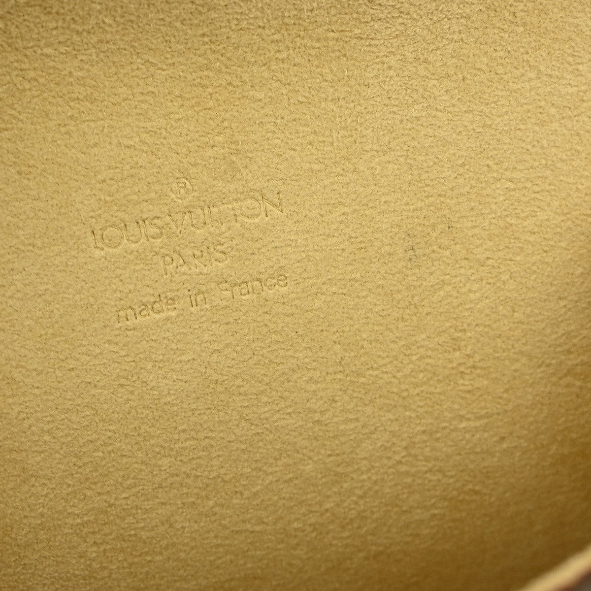 Louis Vuitton Florentine Waist Bag Monogram Canvas, BROWN, CANVAS, Clutche & pouche