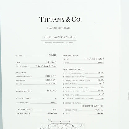 Tiffany & Co. Elsa Peretti Diamonds By The Yard Platinum with Diamond, SILVER, PLATINUM, Necklace