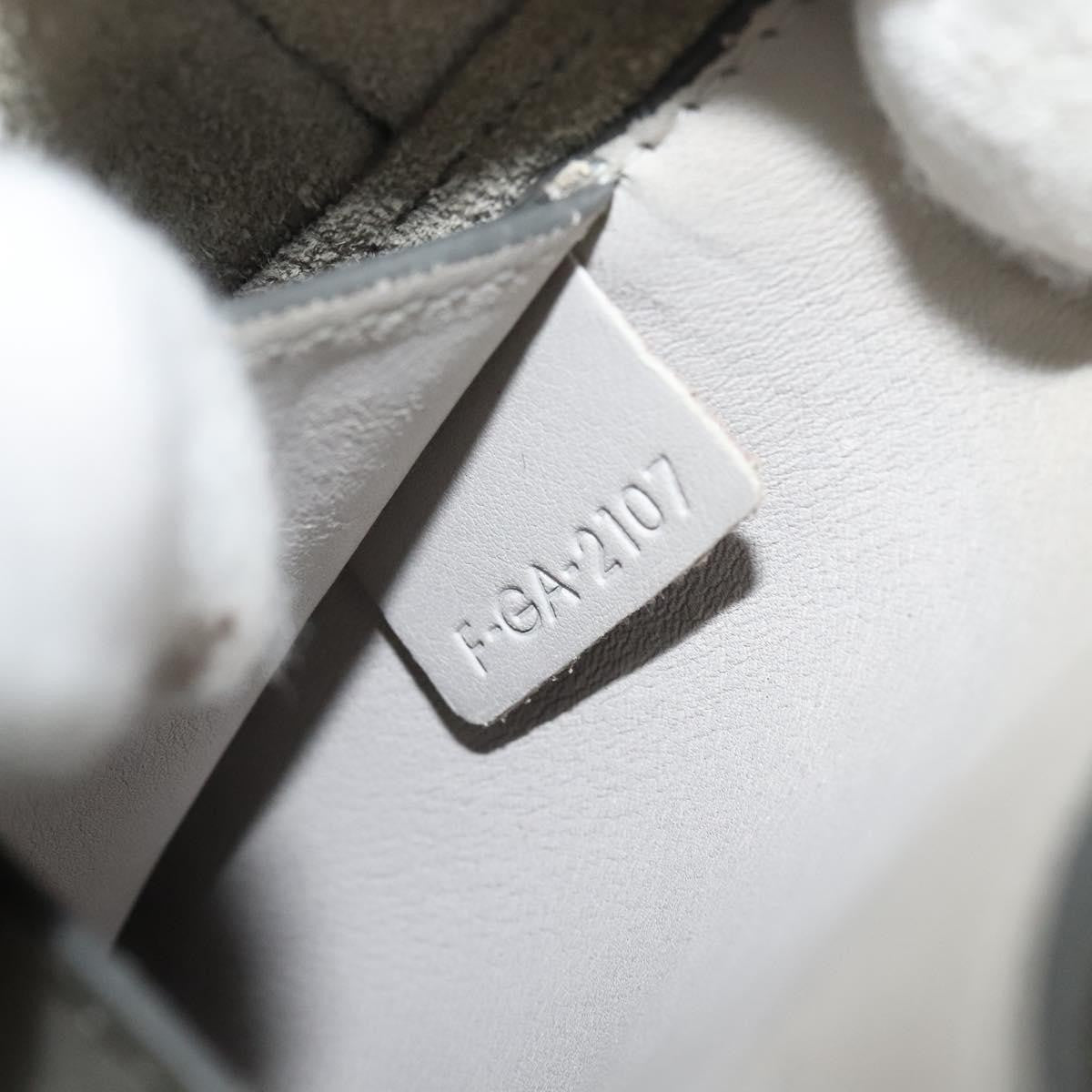 Celine Tri-Fold Clutch on Chain Smooth Leather, GRAY, LEATHER, Shoulder bag