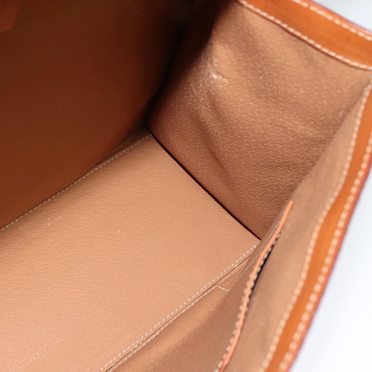 Celine Triomphe vintage handbag Macadam canvas, BROWN, CANVAS, Handbag