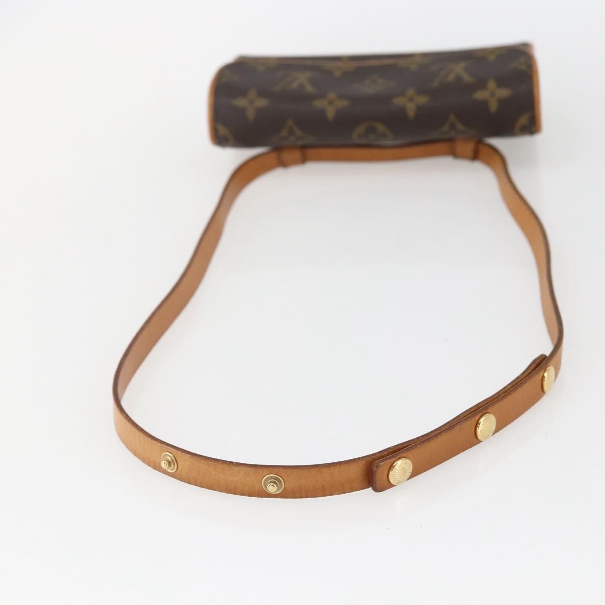 Louis Vuitton Florentine Waist Bag Monogram Canvas, BROWN, CANVAS, Clutche & pouche