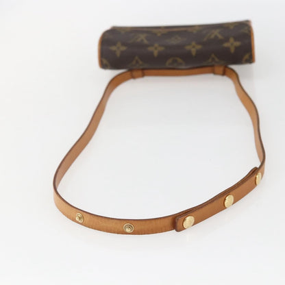 Louis Vuitton Florentine Waist Bag Monogram Canvas, BROWN, CANVAS, Clutche & pouche