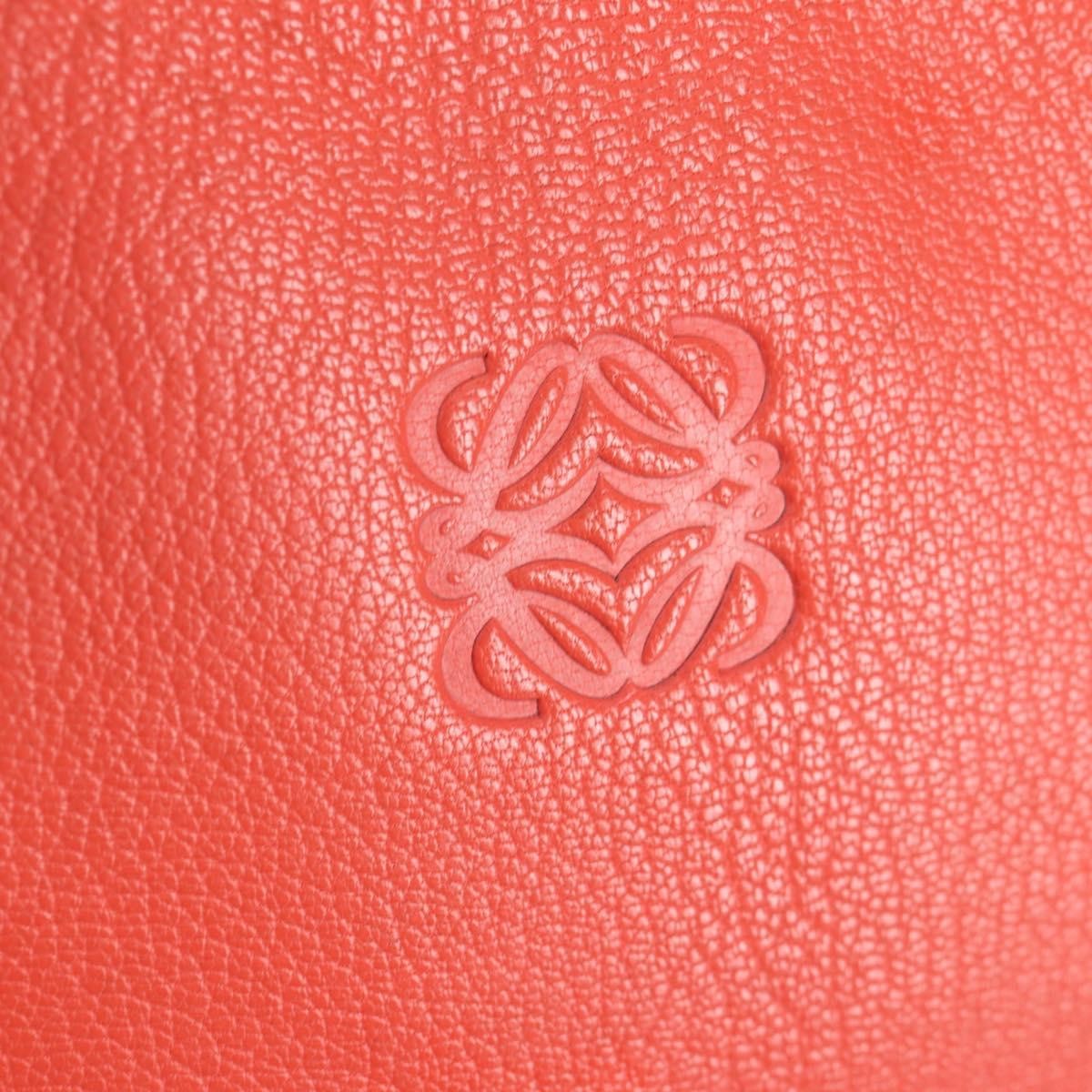 Loewe Amazona Bag Leather, ORANGE, LEATHER, Handbag