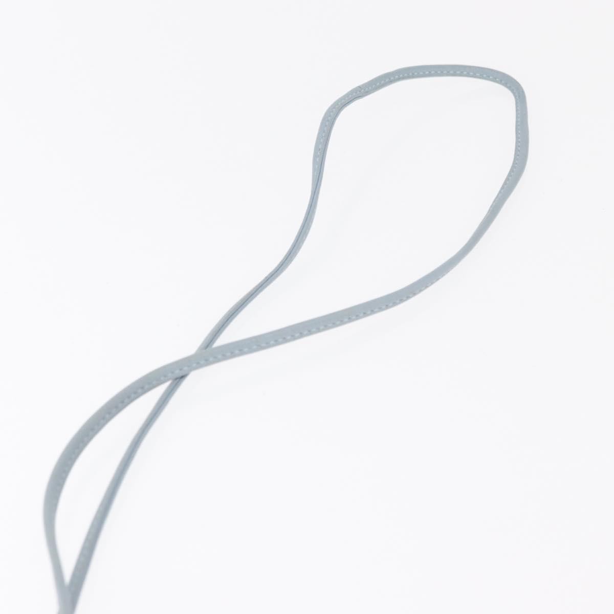 Bottega Veneta The Pouch Intrecciato Nappa, BLUE, LEATHER, Clutche & pouche