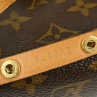 Louis Vuitton Florentine Waist Bag Monogram Canvas, BROWN, CANVAS, Clutche & pouche