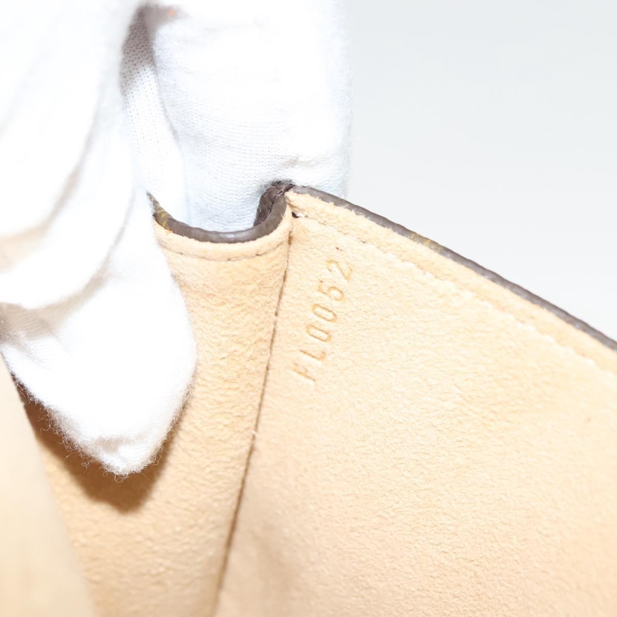 Louis Vuitton Florentine Waist Bag Monogram Canvas, BROWN, CANVAS, Clutche & pouche