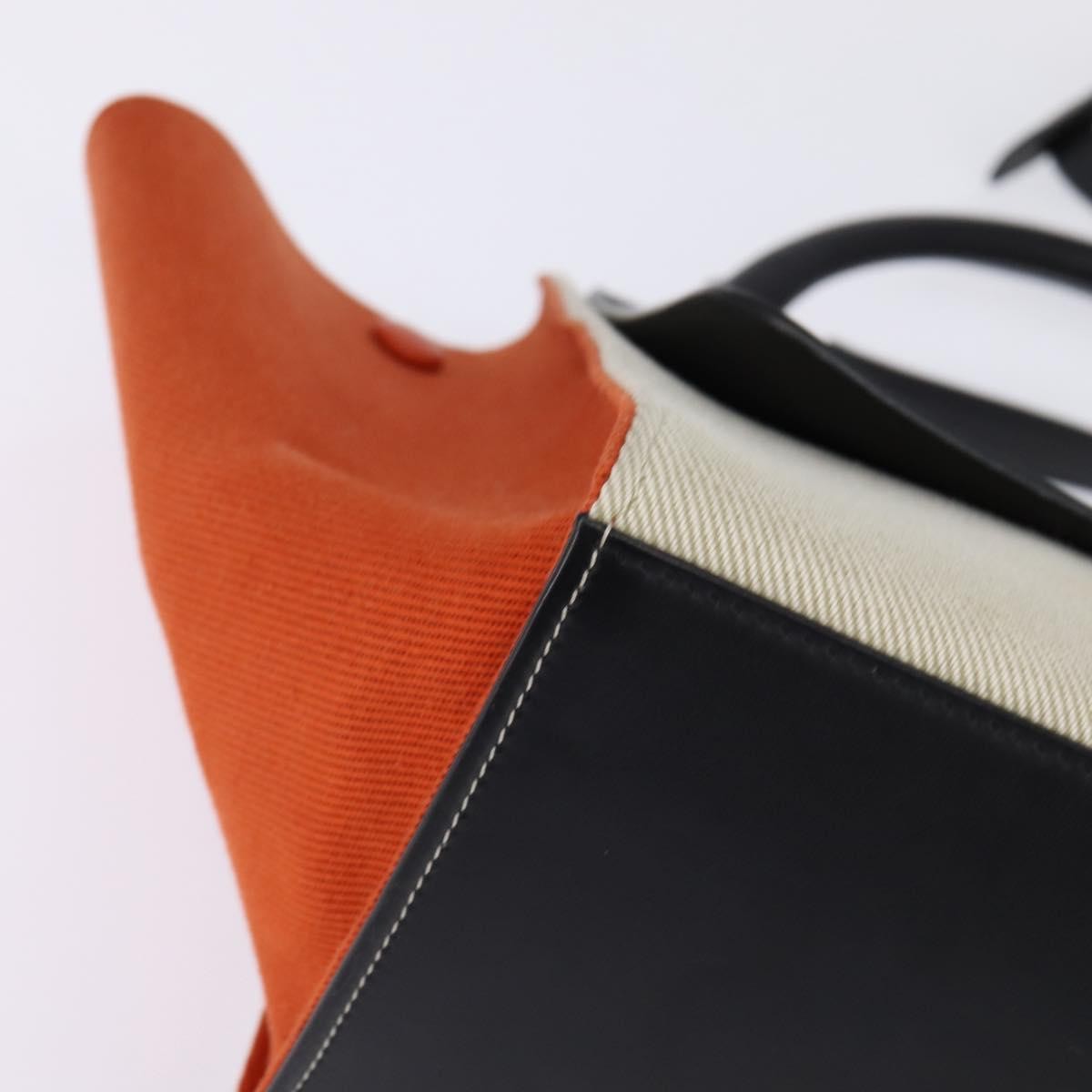 Celine Trapeze Bag Canvas with Leather, MULTICOLOUR, CANVAS, Handbag