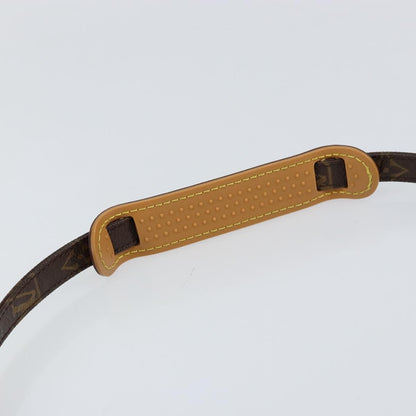 Louis Vuitton Amazone Bag Monogram Canvas, BROWN, CANVAS, Clutche & pouche