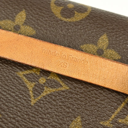 Louis Vuitton Florentine Waist Bag Monogram Canvas, BROWN, CANVAS, Clutche & pouche