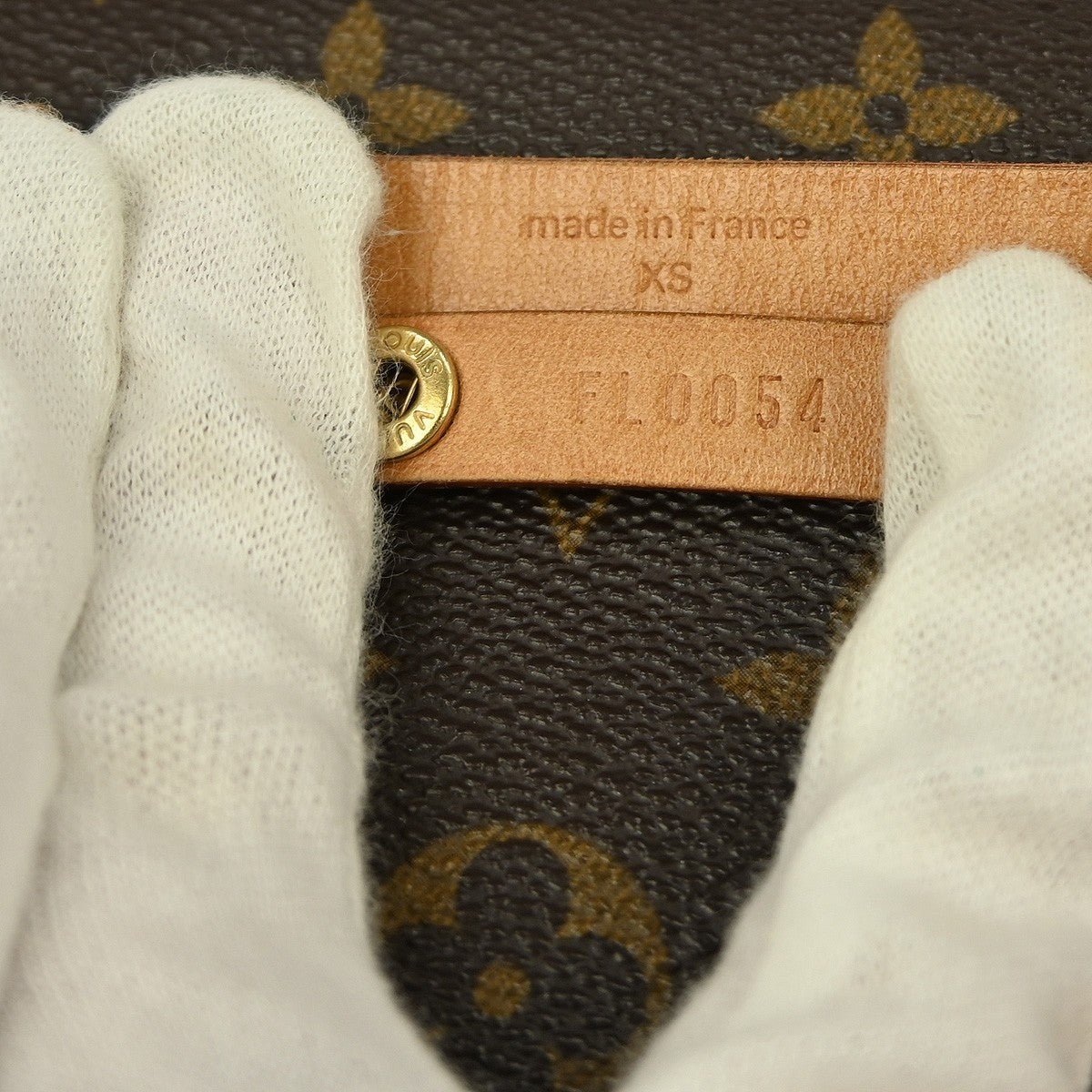 Louis Vuitton Florentine Waist Bag Monogram Canvas, BROWN, CANVAS, Clutche & pouche