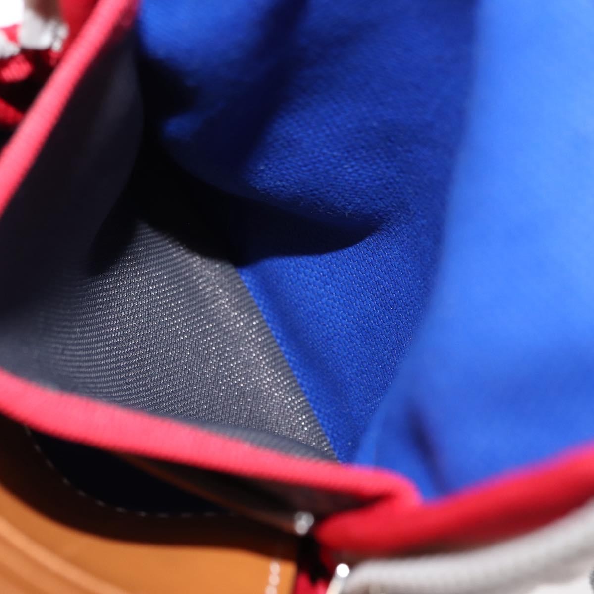 Loewe Eye/Loewe/Nature Zip Neck Pouch Canvas with Applique, BLUE, CANVAS, Clutche & pouche