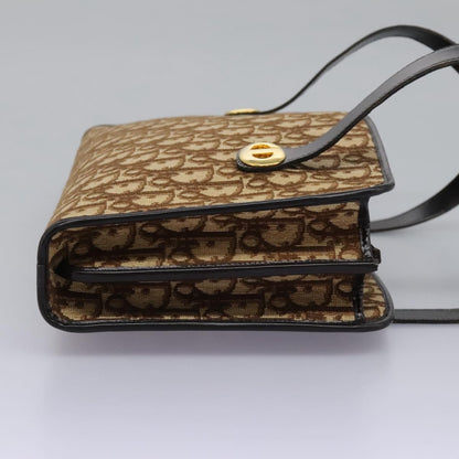Christian Dior Trotter Canvas, BROWN, CANVAS, Handbag