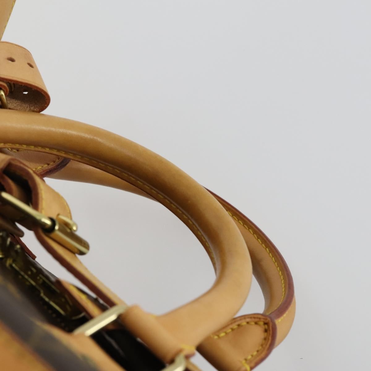 Louis Vuitton Cruiser Handbag Monogram Canvas, BROWN, CANVAS, Travel bag