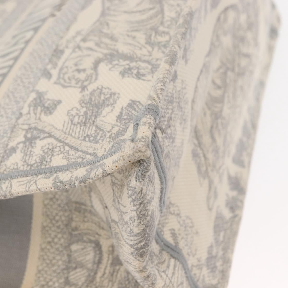 Christian Dior Book Tote Embroidered Canvas, GRAY, CANVAS, Tote bag