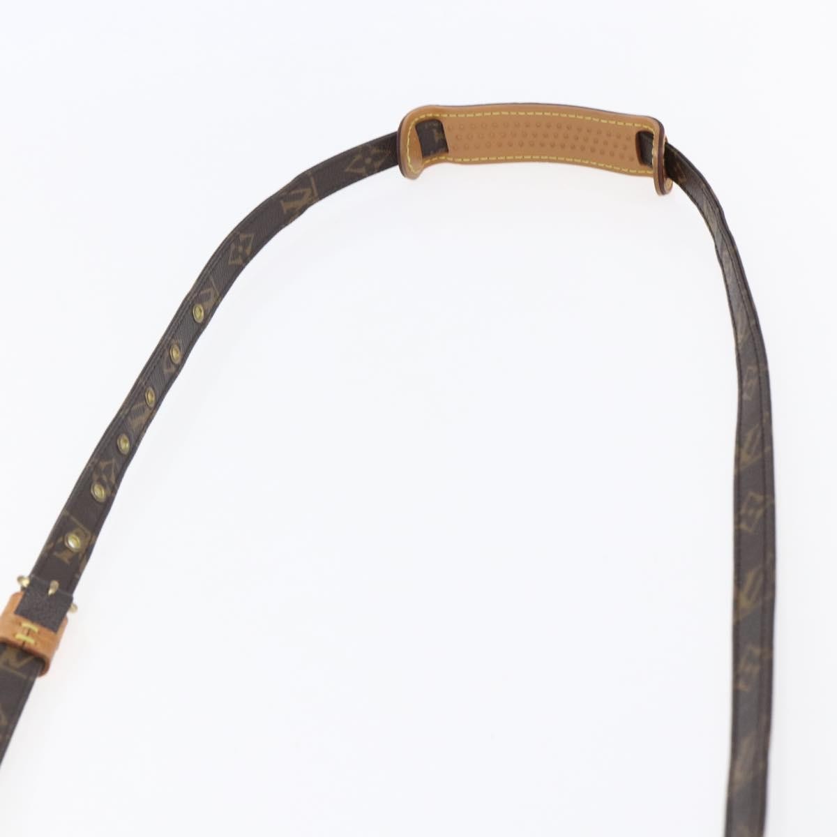 Louis Vuitton Amazone Bag Monogram Canvas, BROWN, CANVAS, Shoulder bag