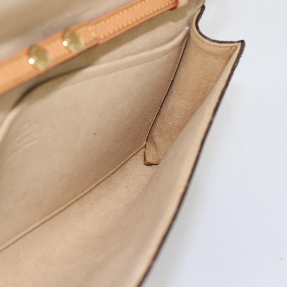 Louis Vuitton Twin Handbag Monogram Canvas, BROWN, CANVAS, Clutche & pouche