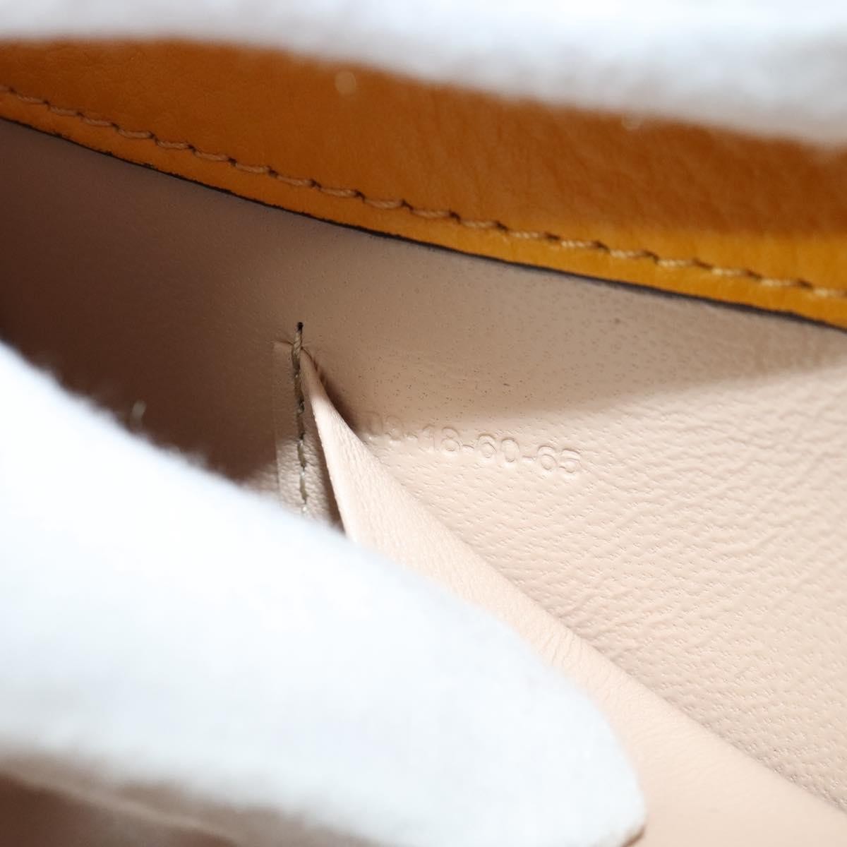 Chloe Nile Minaudière Leather, GOLD, LEATHER, Handbag