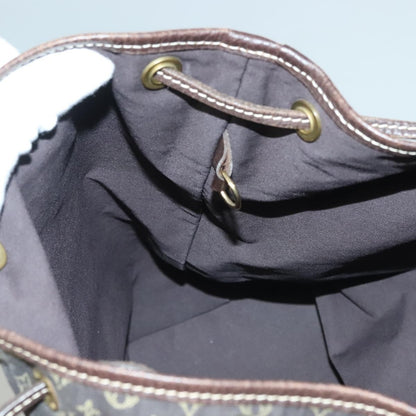 Louis Vuitton Mini Lin Noe Shoulder Bag Monogram Canvas, BROWN, CANVAS, Shoulder bag