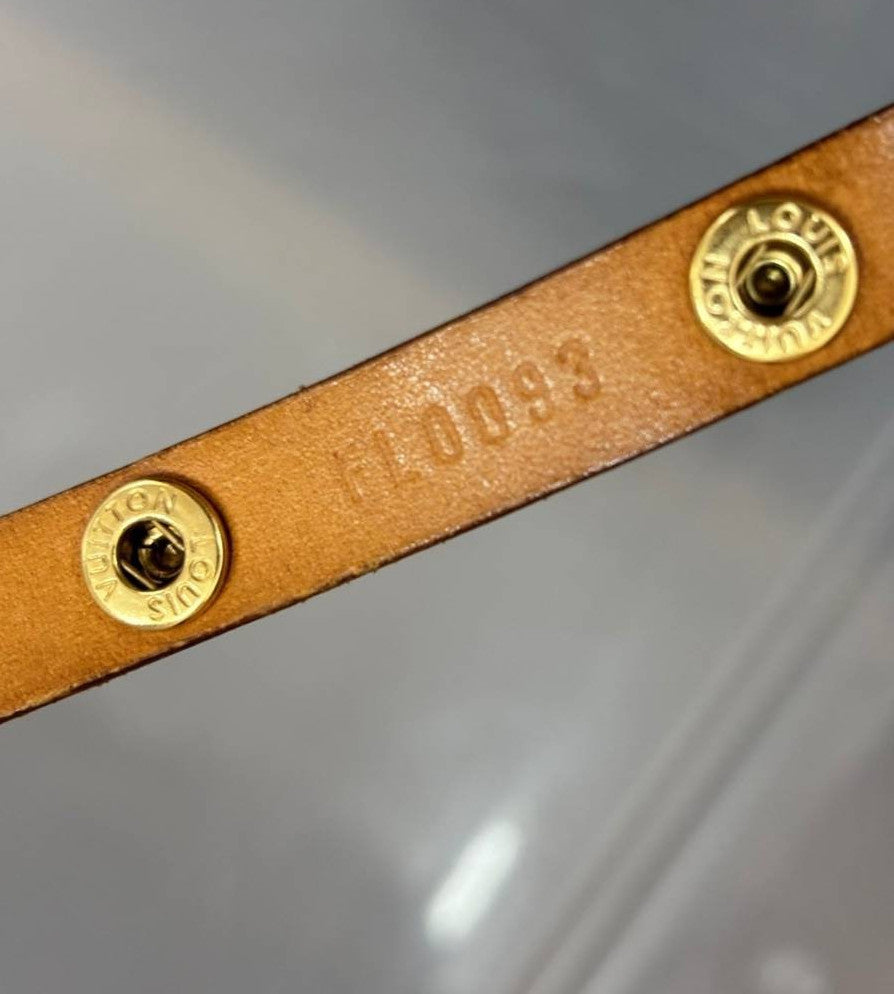 Louis Vuitton Florentine Waist Bag Monogram Canvas, BROWN, CANVAS, Clutche & pouche