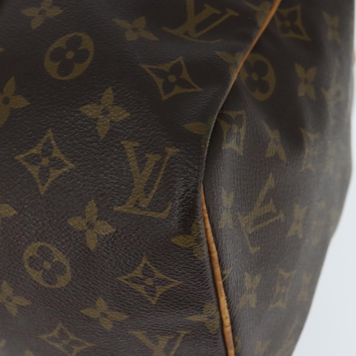 Louis Vuitton Sac Souple Handbag Monogram Canvas, BROWN, CANVAS, Travel bag