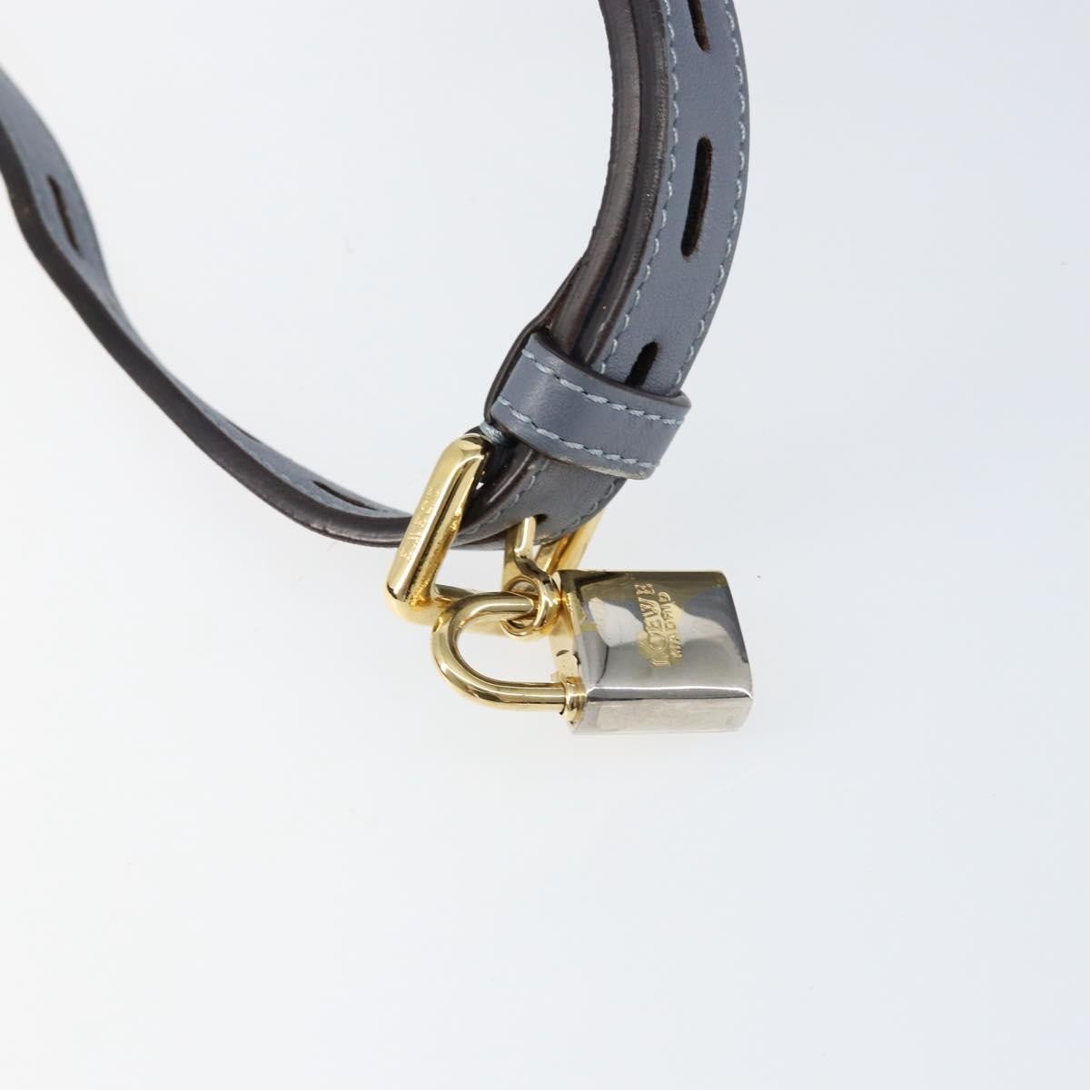 Loewe Anagram Shoulder Bag Leather, BLUE, LEATHER, Shoulder bag