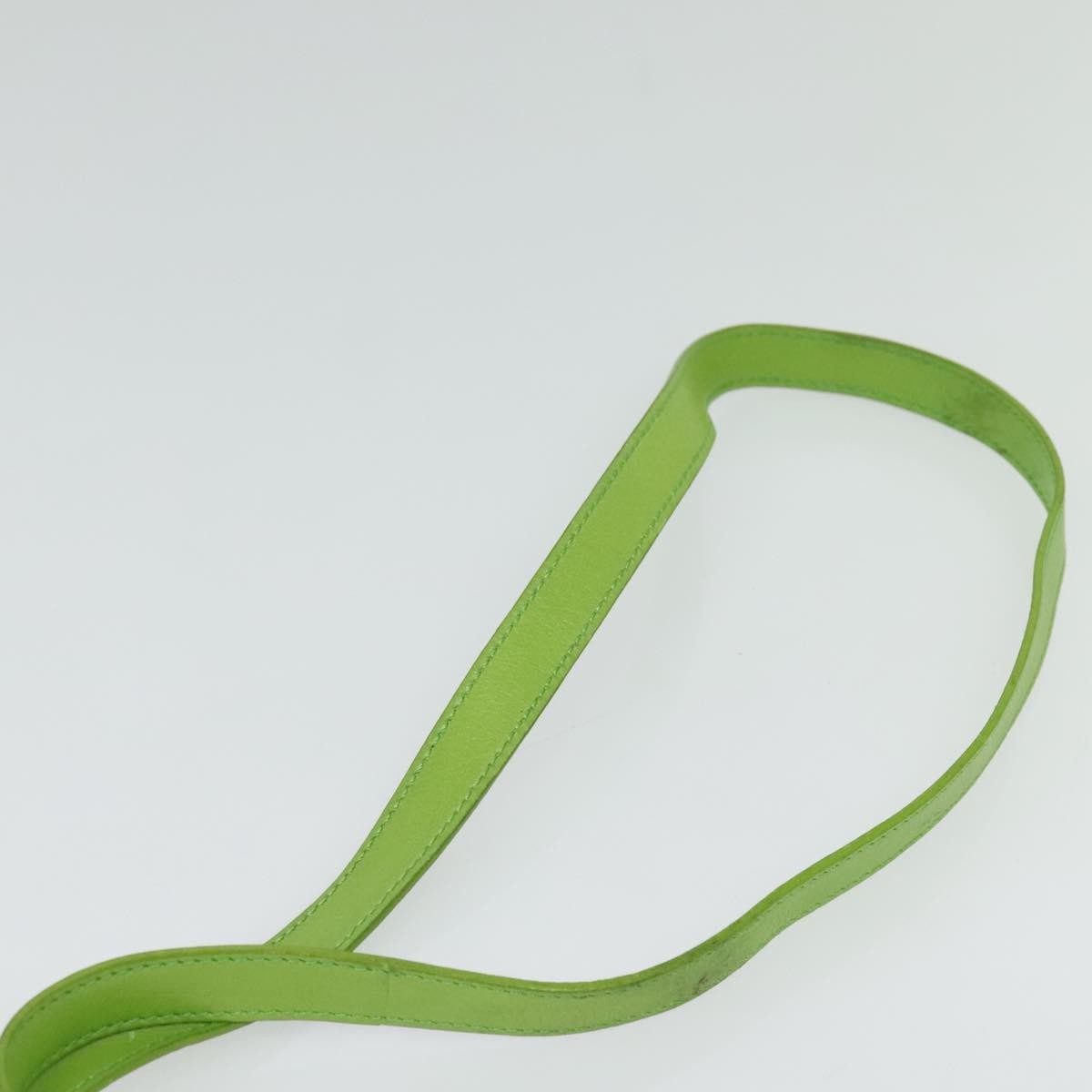 Celine Flap Shoulder Bag Leather, GREEN, LEATHER, Shoulder bag