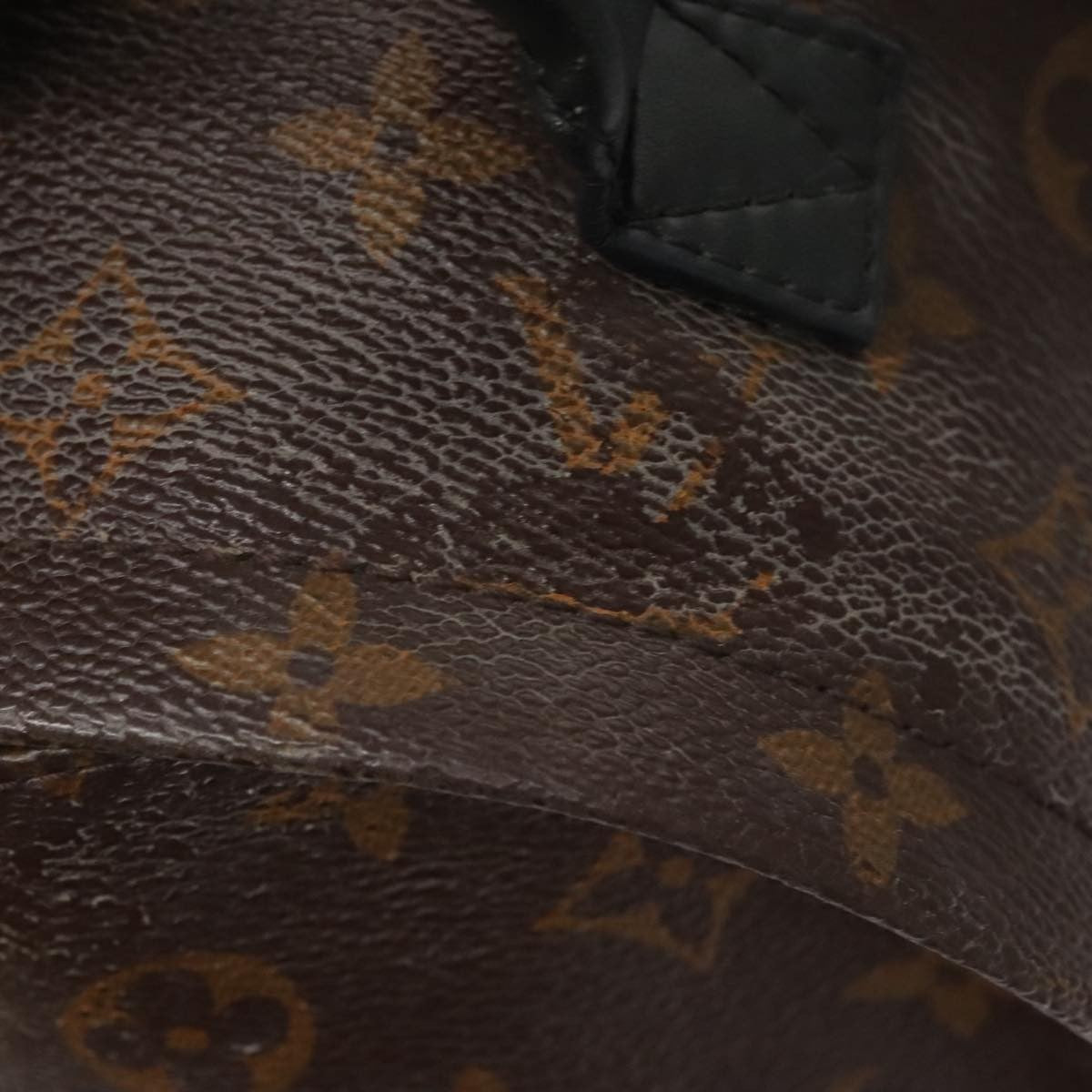 Louis Vuitton Palm Springs Backpack Monogram Canvas, BROWN, CANVAS, Backpack