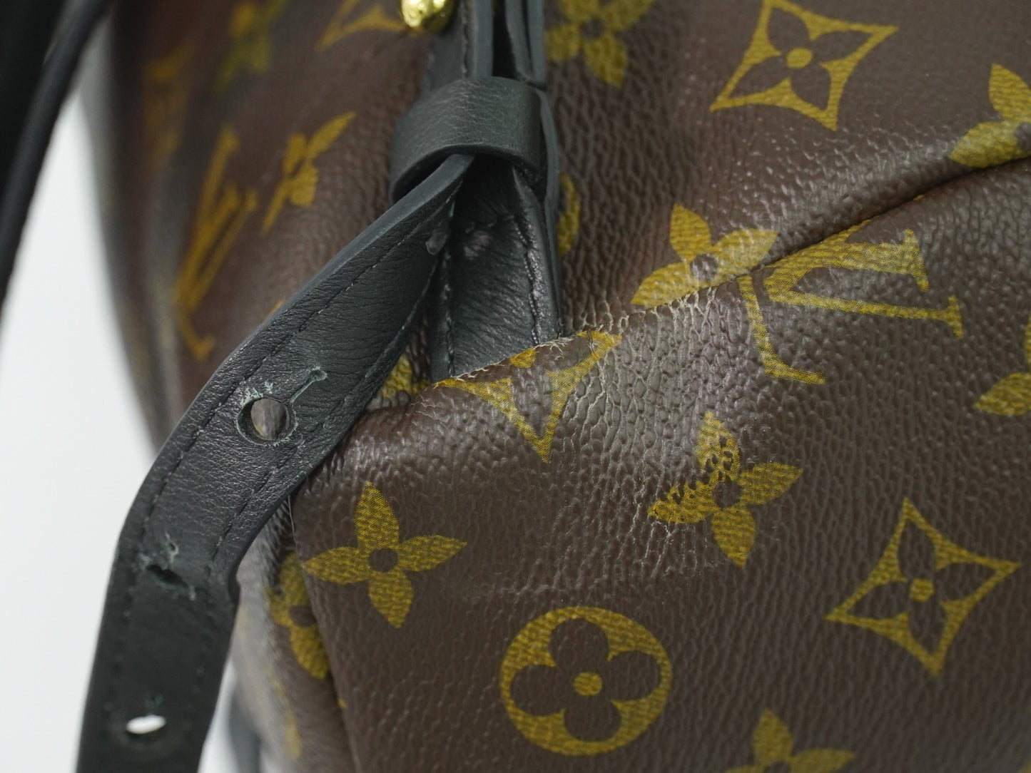 Louis Vuitton Palm Springs Backpack Monogram Canvas, BROWN, CANVAS, Backpack