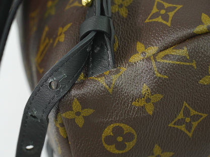 Louis Vuitton Palm Springs Backpack Monogram Canvas, BROWN, CANVAS, Backpack