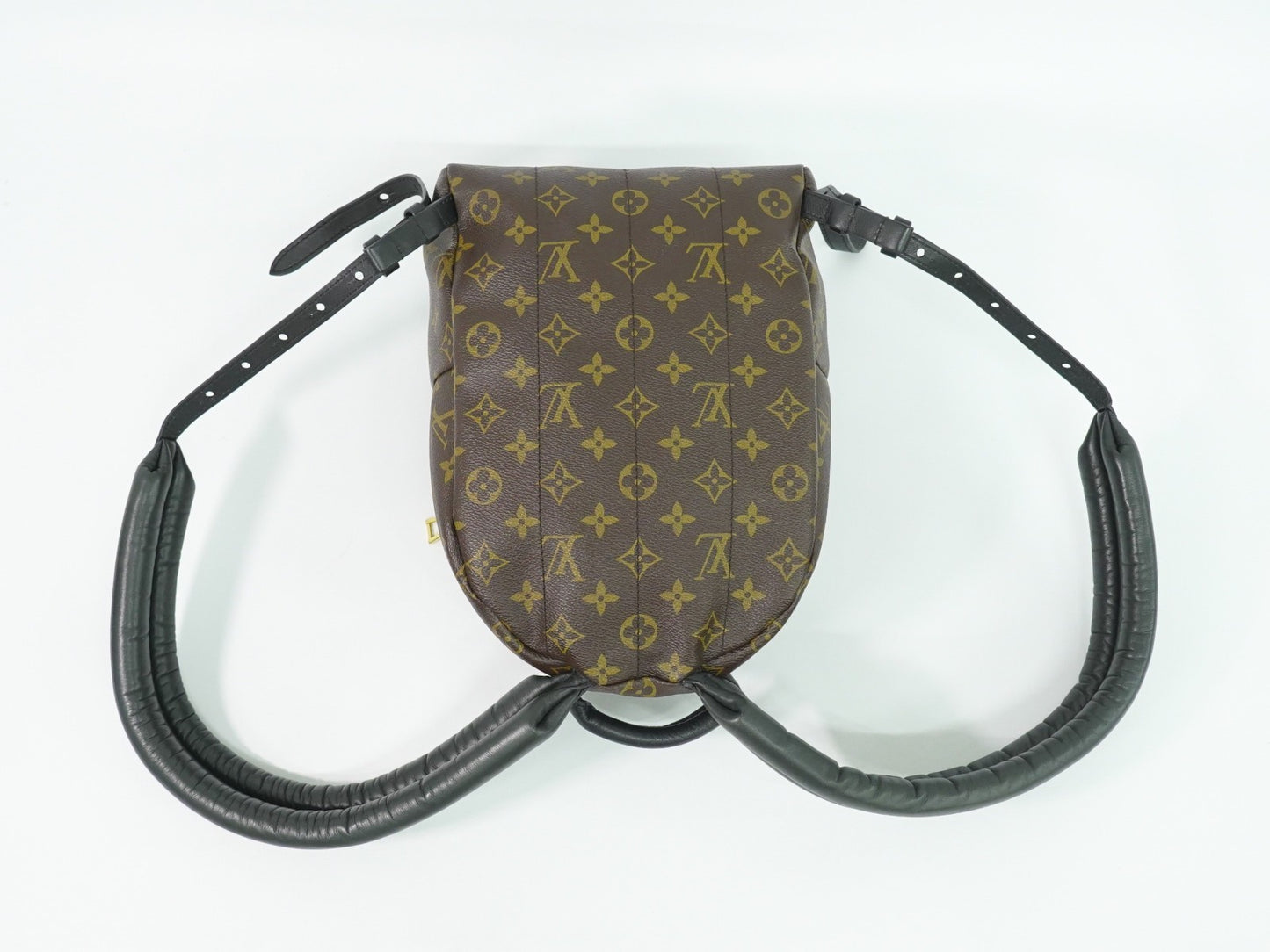 Louis Vuitton Palm Springs Backpack Monogram Canvas, BROWN, CANVAS, Backpack