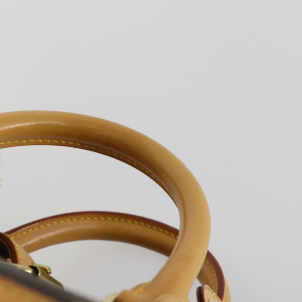 Louis Vuitton Cruiser Handbag Monogram Canvas, BROWN, CANVAS, Travel bag