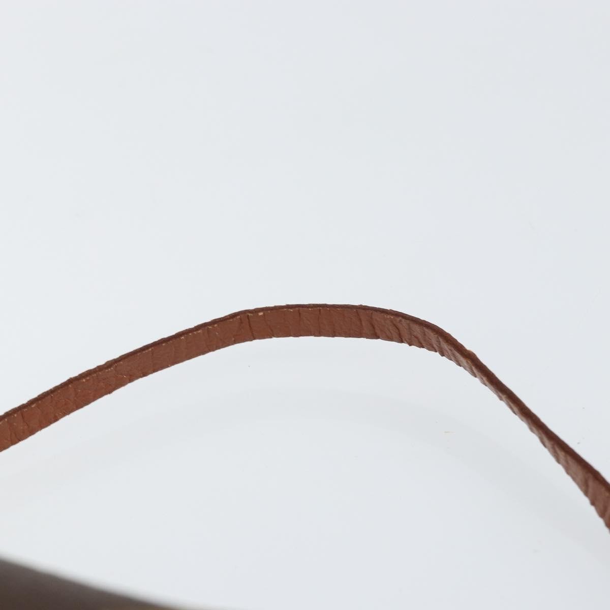 Louis Vuitton Papillon Pochette Monogram Canvas, BROWN, CANVAS, Clutche & pouche