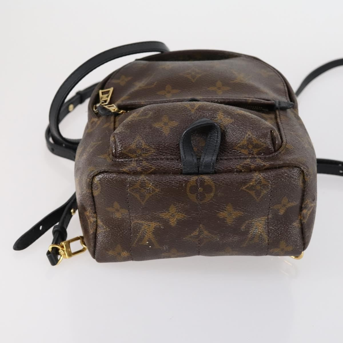Louis Vuitton Palm Springs Backpack Monogram Canvas, BROWN, CANVAS, Backpack