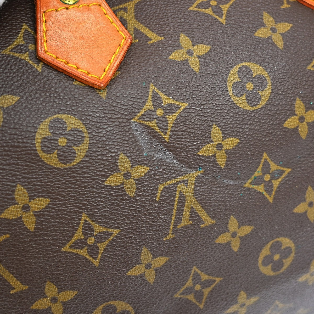 Louis Vuitton Speedy Handbag Monogram Canvas, Brown, Canvas, Handbag