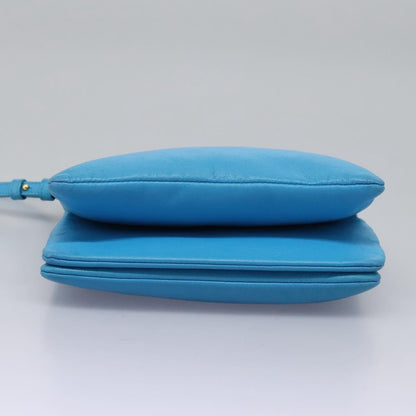 Celine Trio Crossbody Bag Leather, BLUE, LEATHER, Crossbody bag