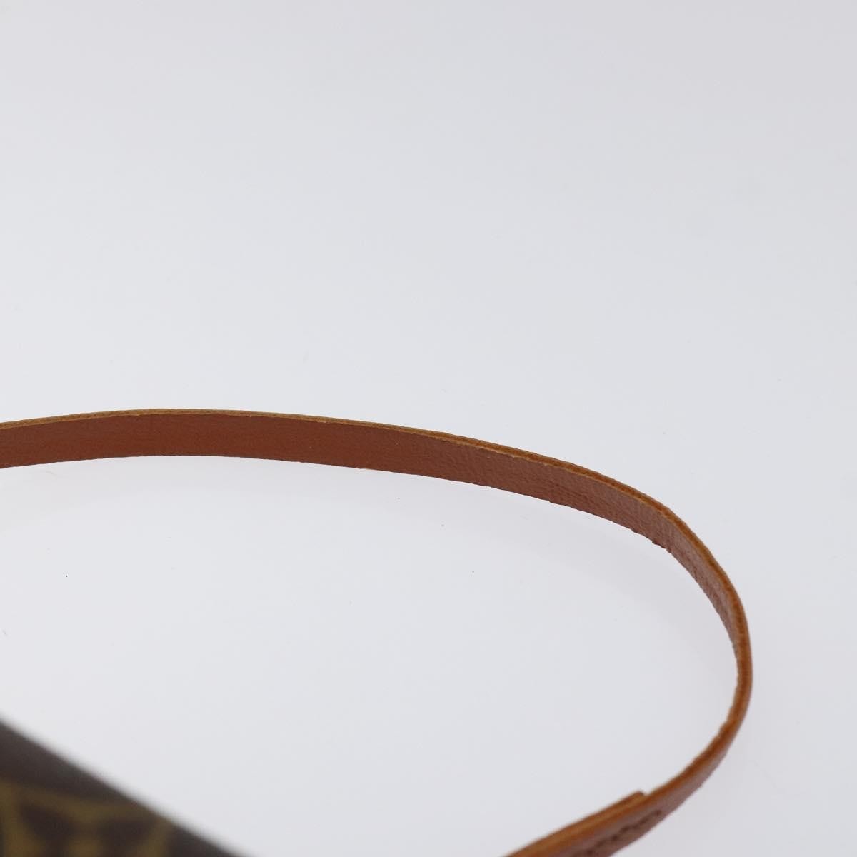 Louis Vuitton Papillon Pochette Monogram Canvas, BROWN, CANVAS, Handbag