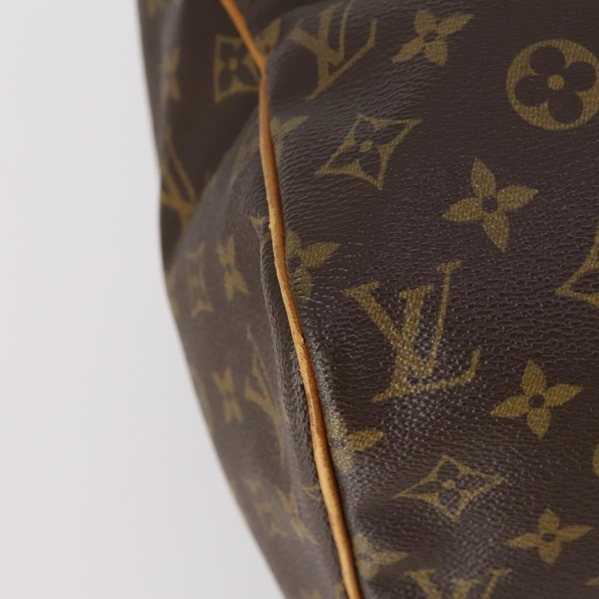 Louis Vuitton Sac Souple Handbag Monogram Canvas, BROWN, CANVAS, Travel bag