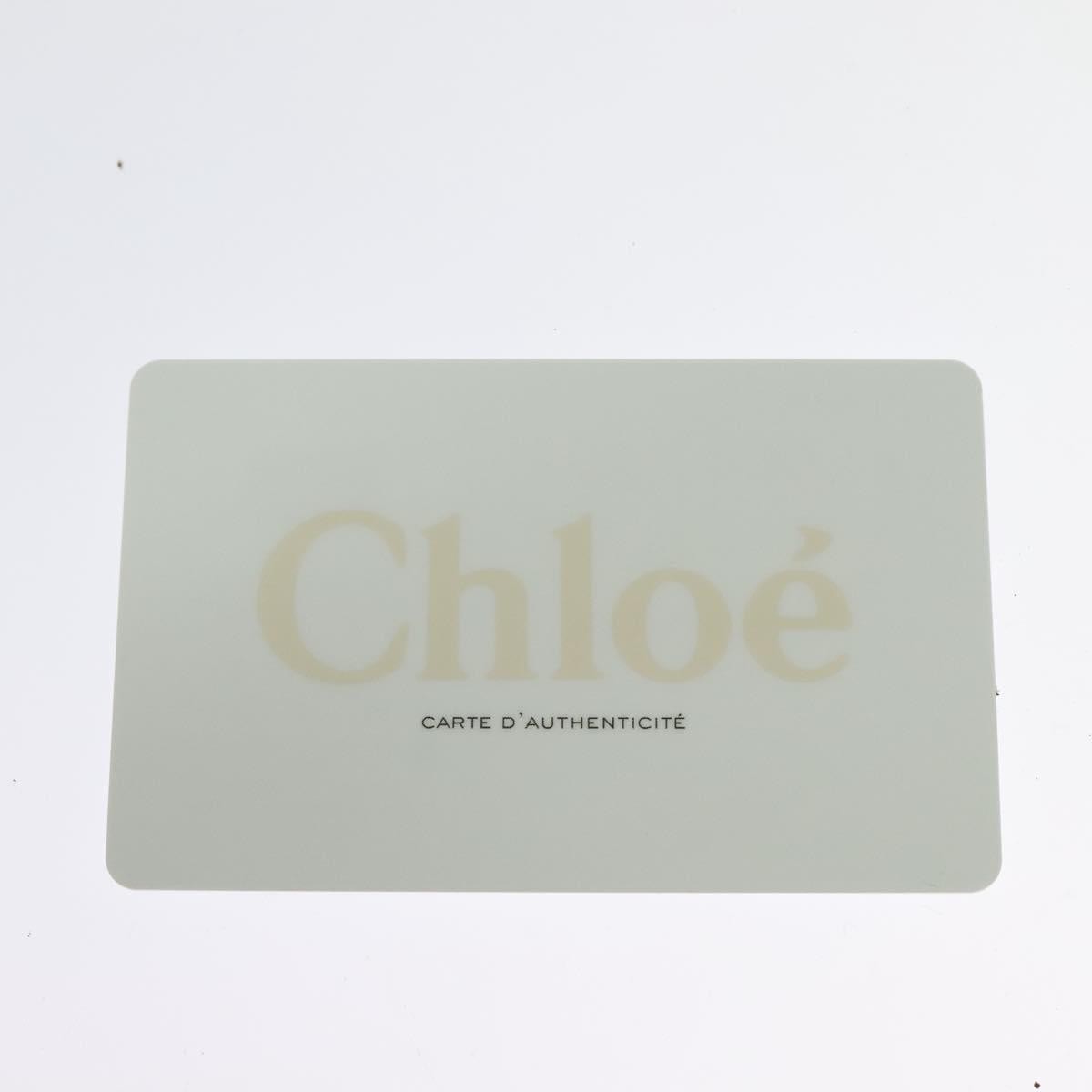 Chloe Darryl Hobo Leather, BROWN, LEATHER, Handbag