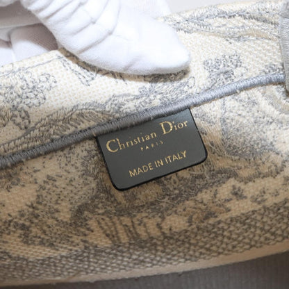 Christian Dior Book Tote Embroidered Canvas, GRAY, CANVAS, Tote bag