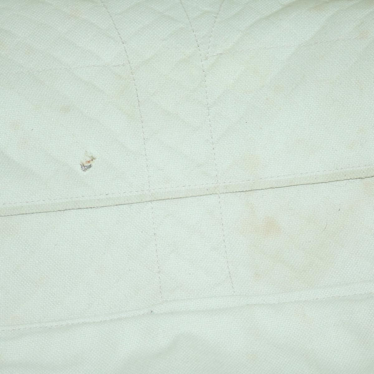 Bottega Veneta Zipped Tote Rubber Intrecciato with Canvas, WHITE, LEATHER, Tote bag