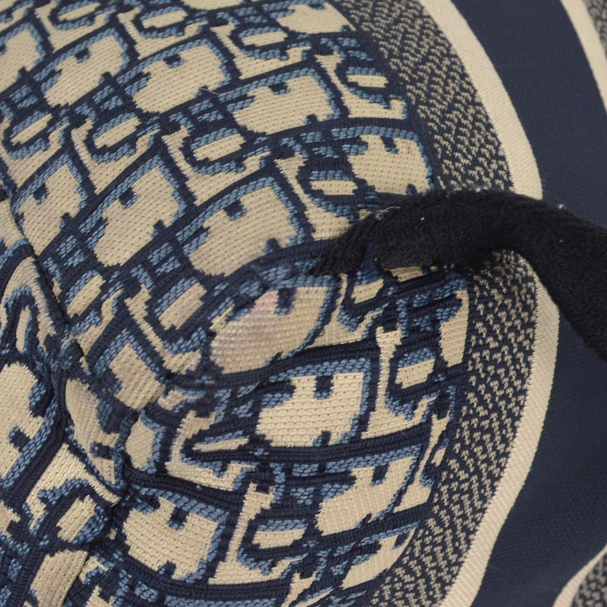 Christian Dior Travel Backpack Oblique Canvas, BLUE, CANVAS, Backpack