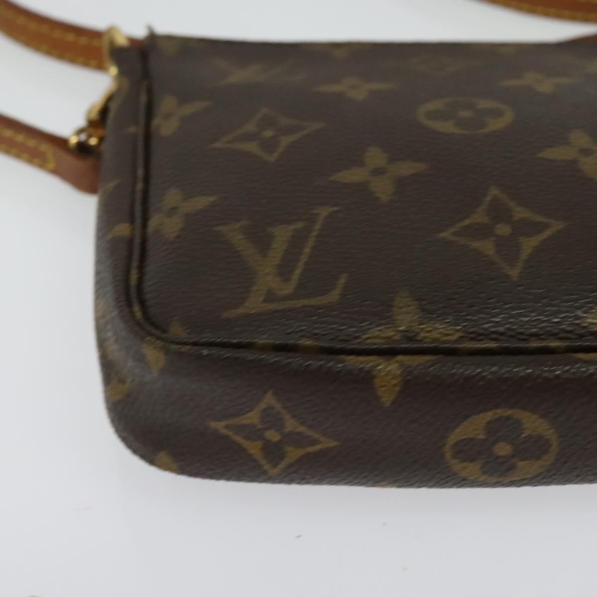 Louis Vuitton Pochette Accessoires NM Monogram Canvas, BROWN, CANVAS, Clutche & pouche
