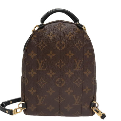 Louis Vuitton Palm Springs Backpack Monogram Canvas, BROWN, CANVAS, Backpack
