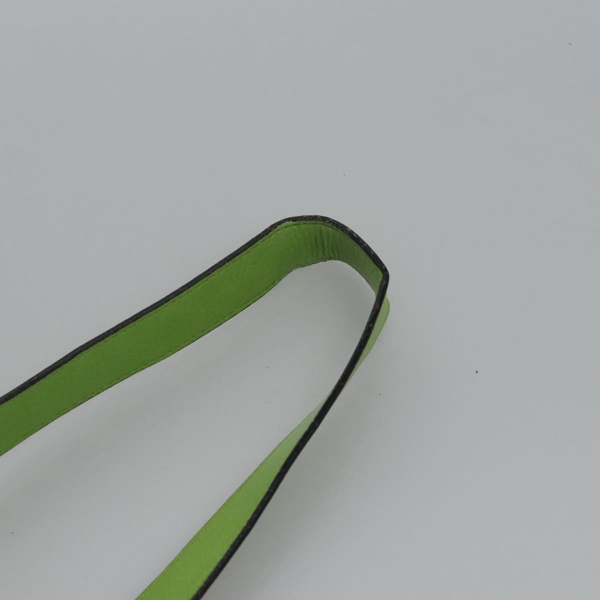 Celine Circle logo Leather, MULTICOLOUR, LEATHER, Shoulder bag